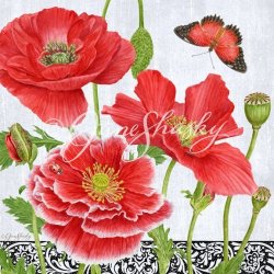JS-BT499 poppies