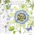 JS-FB227 passiflora