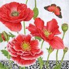 JS-BT499 poppies