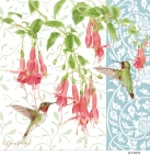 JS-FB278 fuschia and hbs