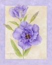 js-d192-lisianthus