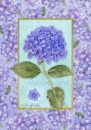 js-d91-hydrangeaaqua