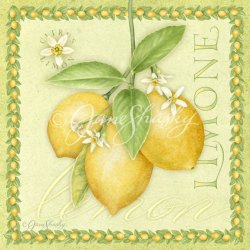 js-d104-sunnylemons