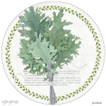 JS-D652b-FV-kale-round