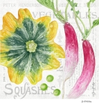 JS-FV656a-squash-and-radish-sq