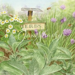 js-d269-herb-garden