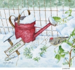 1_JS-HG540-winter-herbs