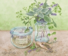 JS-HG361 herbes de provence