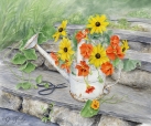 JS-HG414 nasturium watering can