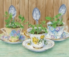 JS-HG452 teacups