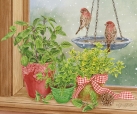 JS-HG458 herb windowsill