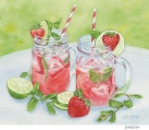 JS-HG514 strawberry mint mojitos