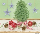 JS-HG517 rosemary tree