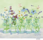 JS-HG581-herb-bottles