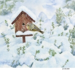 JS-HG680-thyme-in-snow