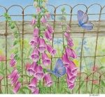 JS-HG683-foxglove-fence