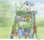 JS-HG723-garden-ladder