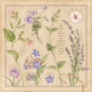 js-d129-floweringherbs