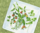 js-d299-herbs-on-plate