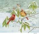 JS-D313 cardinals on branch