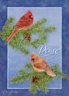 js-d141b-cardinalspeace