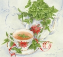 js-d157-pepperminttea