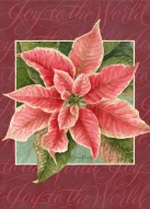 js-d64-joypoinsettia