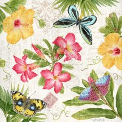 JS-D489 tropical butterflies