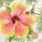 JS-BT426b hibiscus