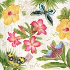 JS-D489 tropical butterflies